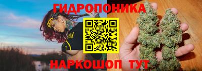 соль ск Кулебаки