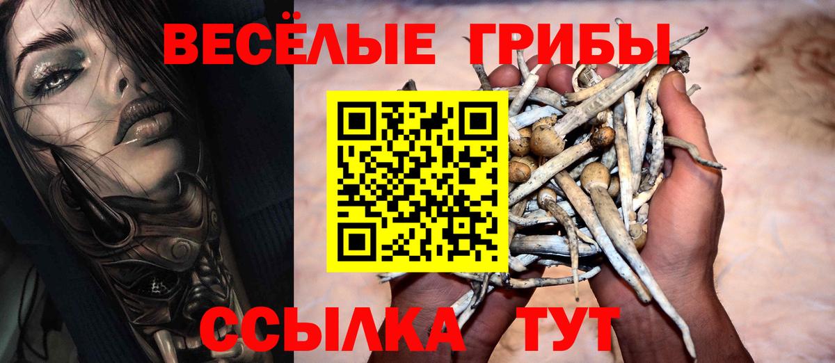 Псилоцибиновые грибы Cubensis Топки